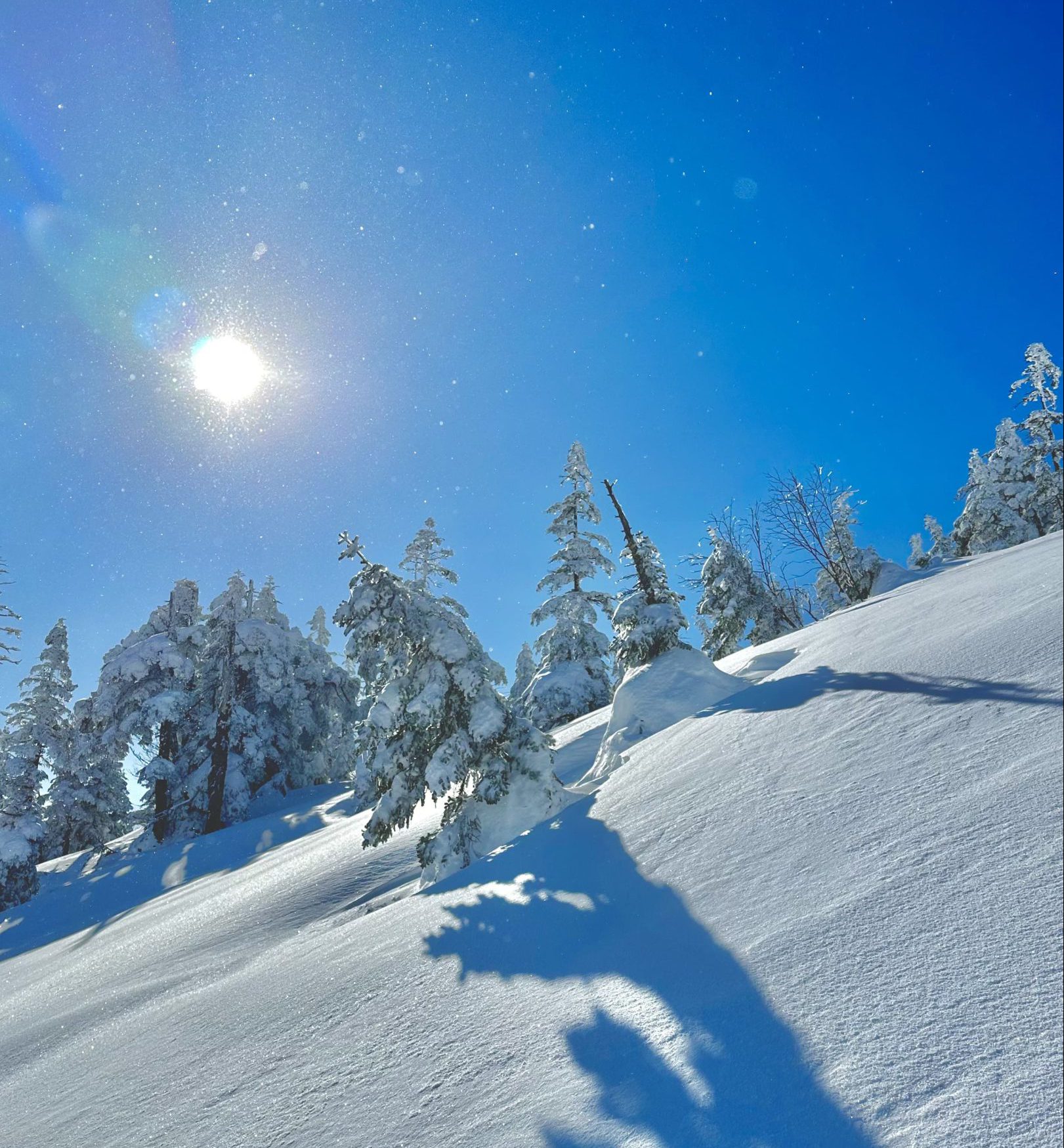 Skikurse